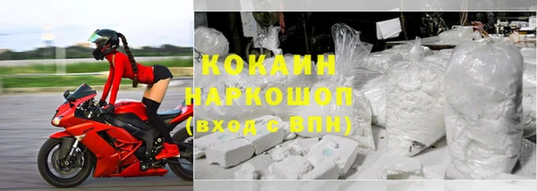 прущие грибы Магадан