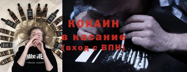 прущие грибы Магадан