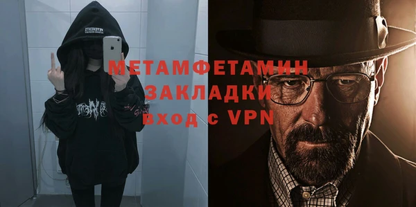 прущие грибы Магадан