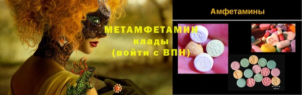 прущие грибы Магадан