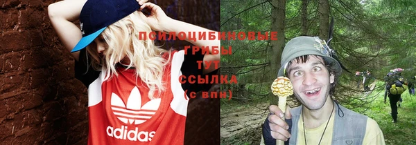 мяу мяу мука Майский