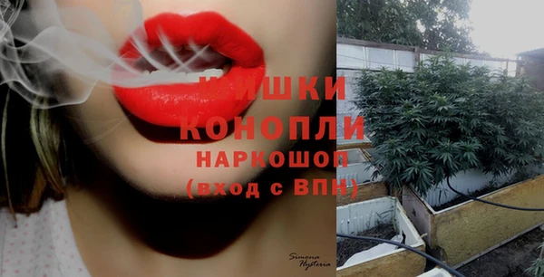 прущие грибы Магадан